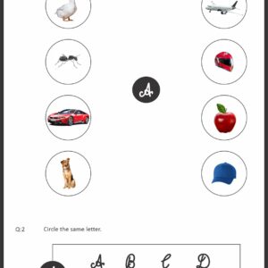 CAPITAL LETTERS ACTIVITY WORKSHEET BOOK