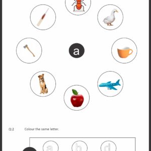 English Alphabet Activity Worksheet (Lower Case Letters a to z)