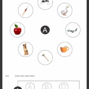 CAPITAL LETTERS ACTIVITY WORKSHEET BOOK